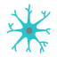 neuron
